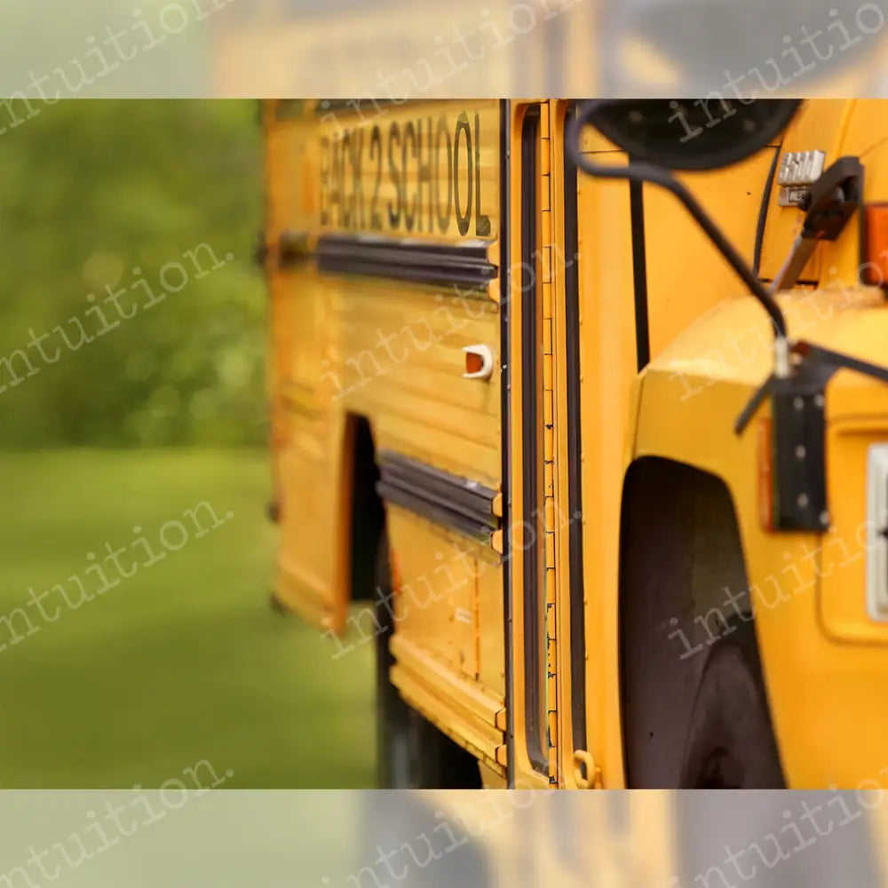 Back 2 School Horizontal / Canvas 9X7 Backdrop