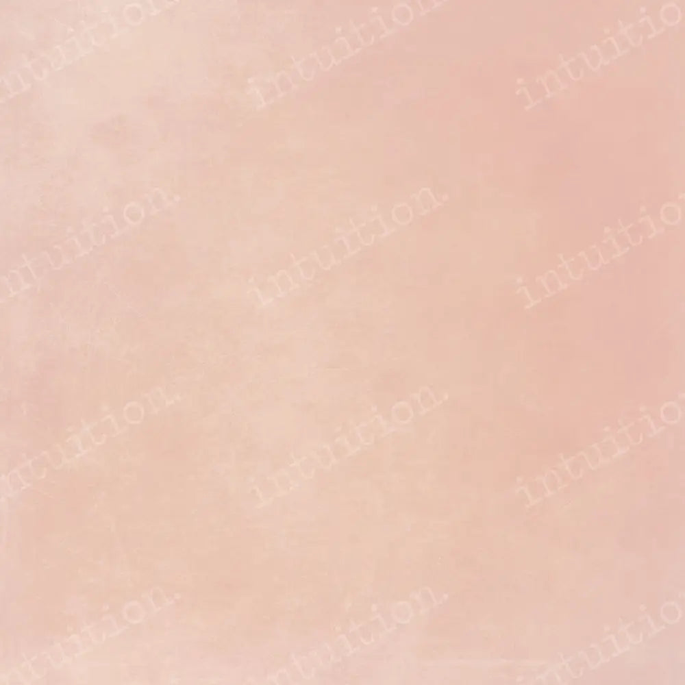 Ballet Slipper Horizontal / Poly 60X44 Backdrop