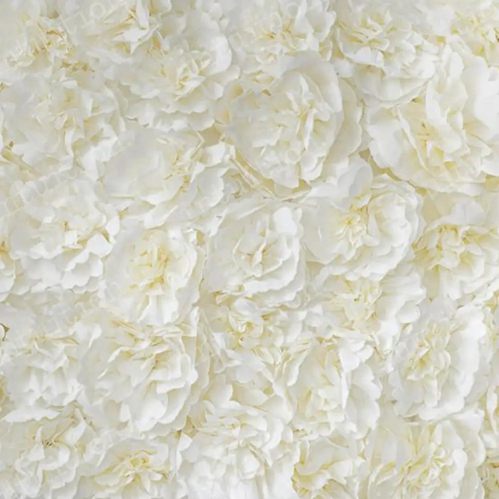 Buttercream Canvas / 60X44 Backdrop