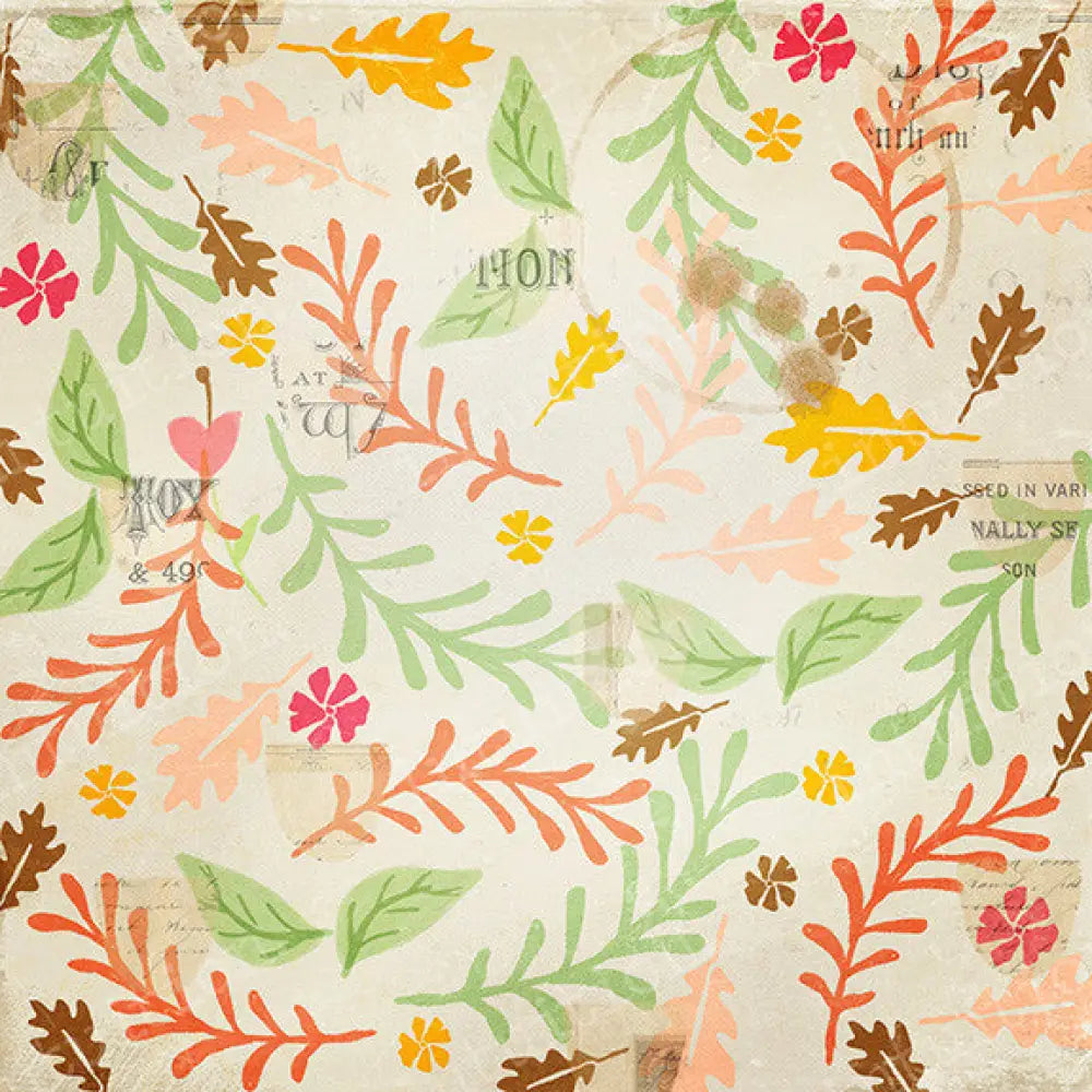 Carolina Canvas / 60X44 Backdrop