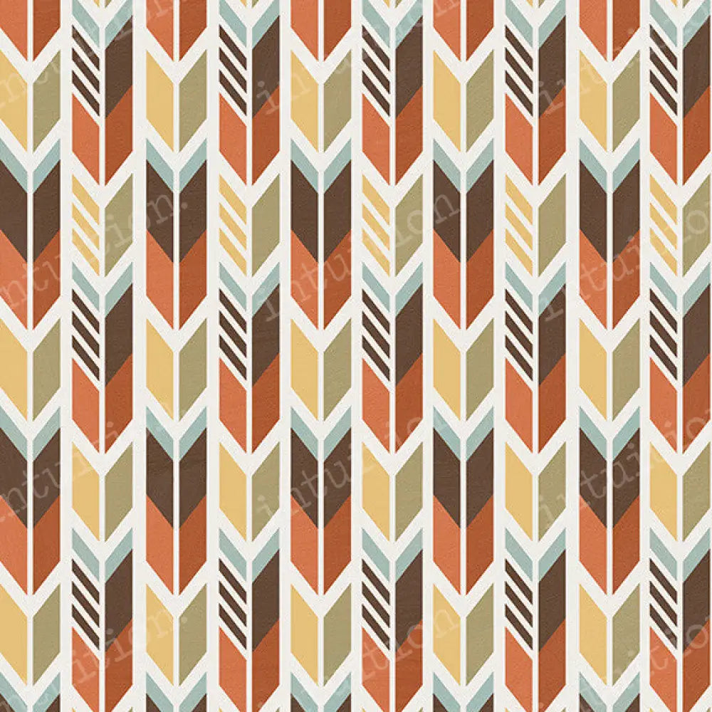 Chief Poly / 60X44 Backdrop