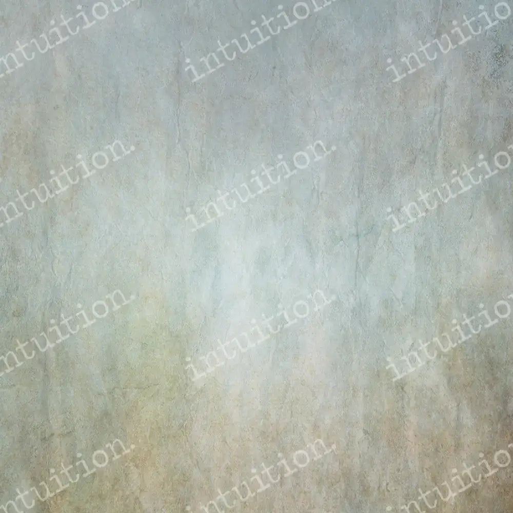 Pet Photography backdrops in Del Mar Horizontal / Poly 60X44 Backdrop