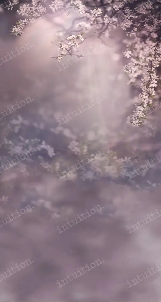 Dogwood Dream Backdrop