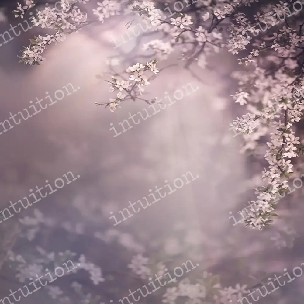 Purple floral backdrops for maternity photography Dogwood Dream Horizontal / Poly 60X44 Backdrop