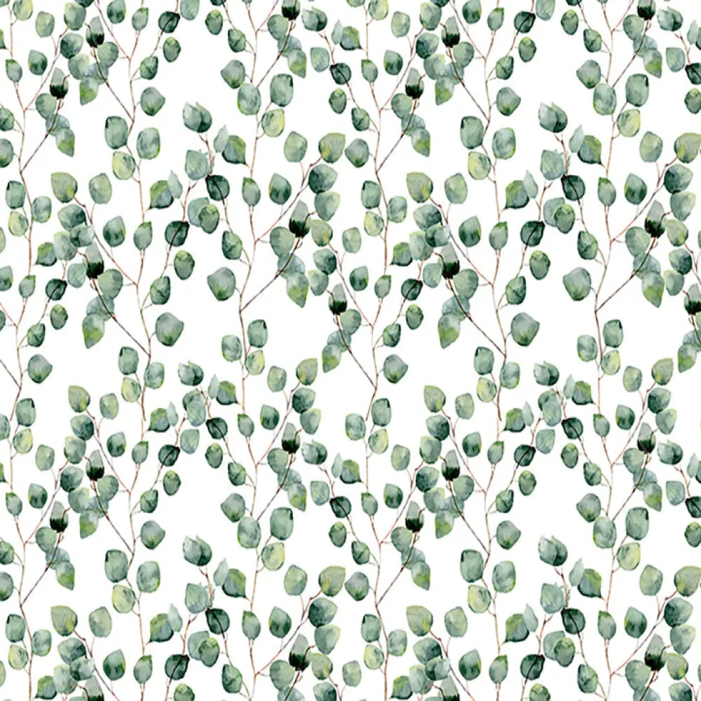 Eucalyptus Horizontal / Poly 60X44 Backdrop