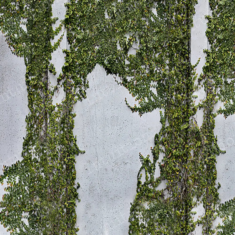 Ever After Horizontal / Poly 60X44 Backdrop