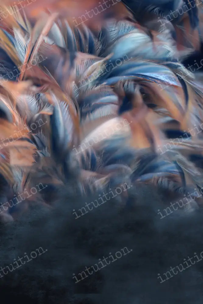 Fall Feathers Backdrop