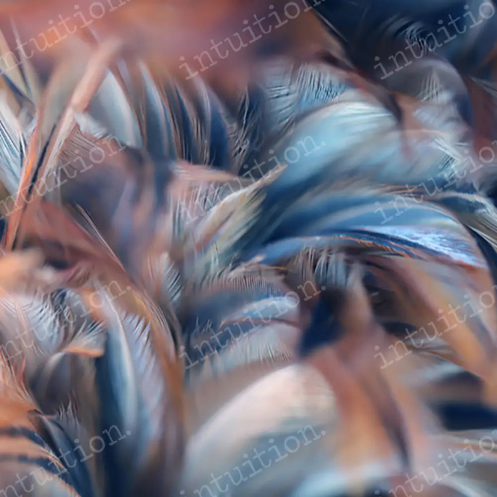 Fall Feathers Horizontal / Poly 60X44 Backdrop