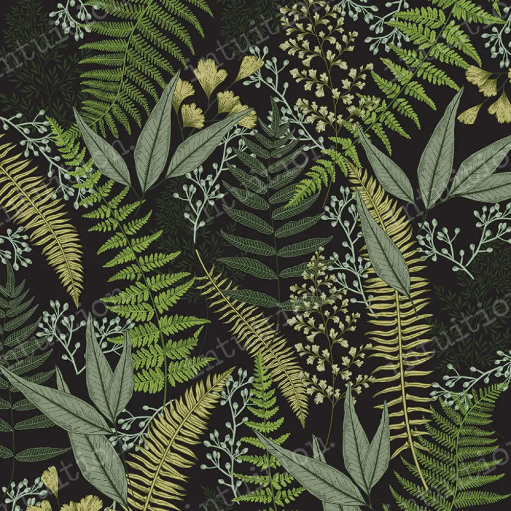 Fern Poly / 60X44 Backdrop
