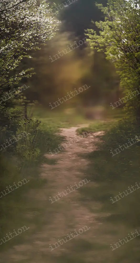 Footpath Backdrop