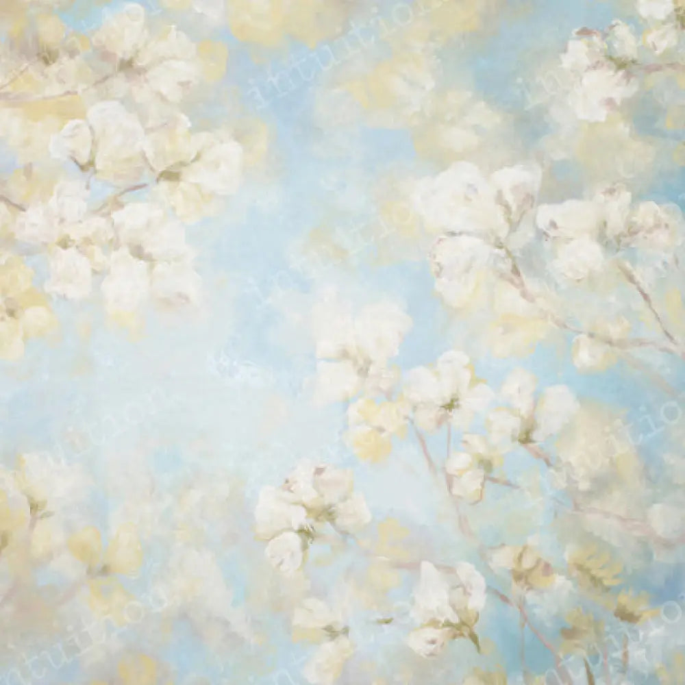 Harper Poly / 60X44 Backdrop