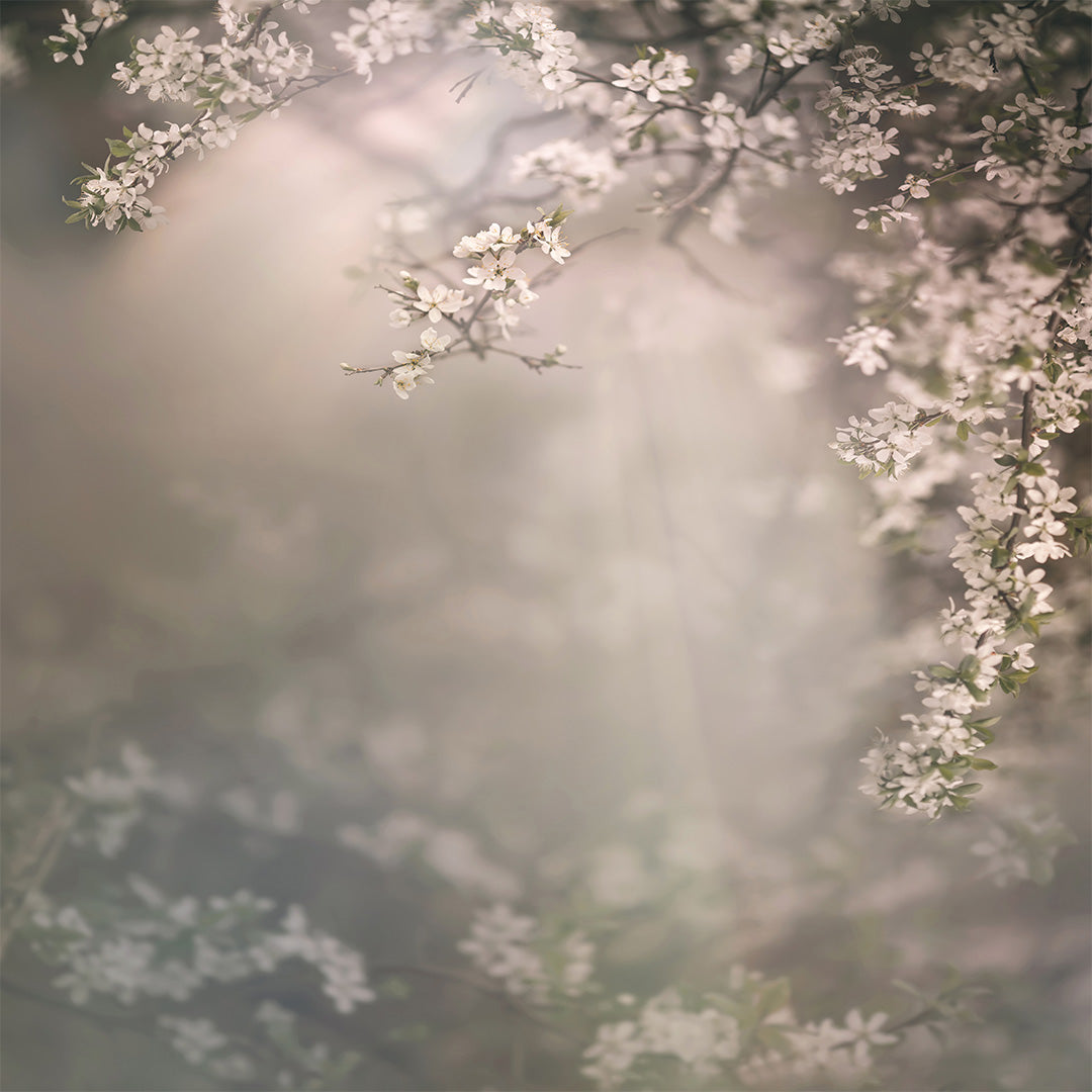 Modern Meadow Bundle