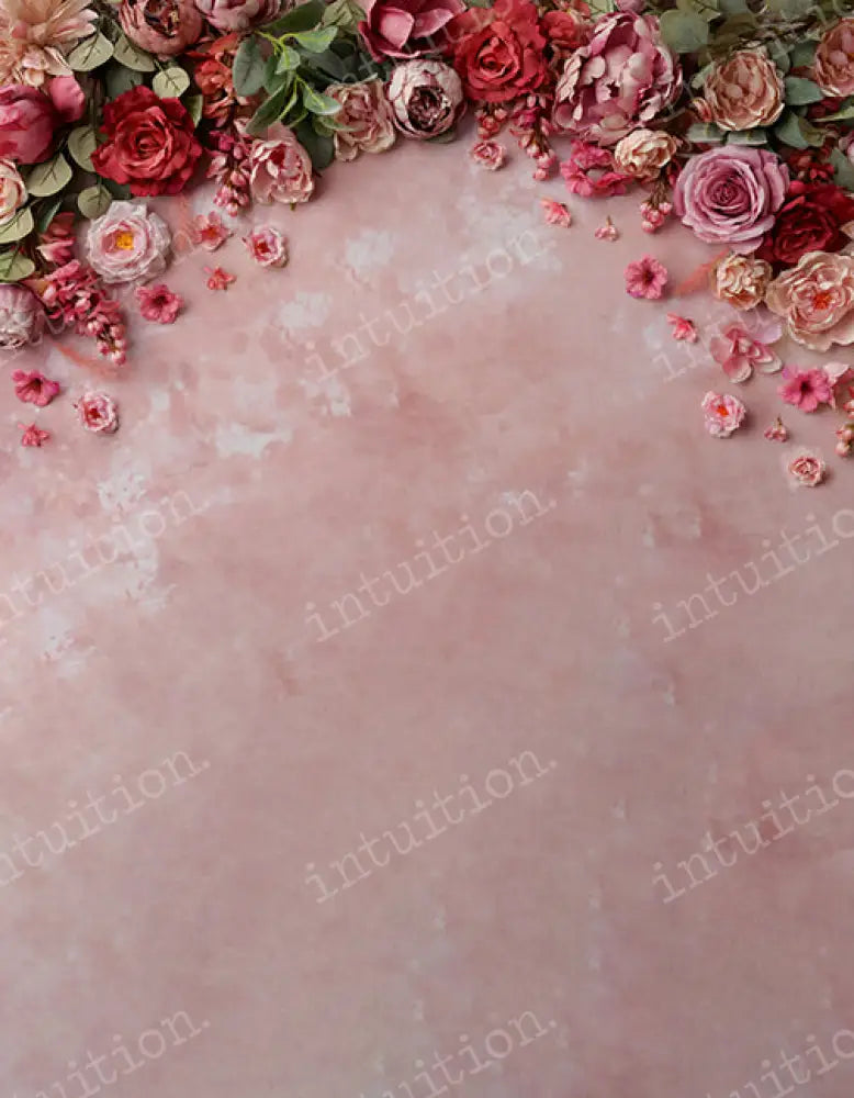 Isla Backdrop