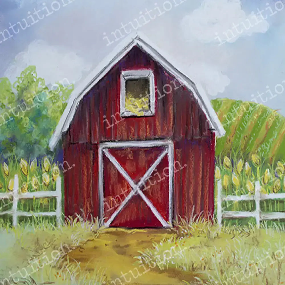 Sitter Session Photography Backdrops - John Poly / 60X44 Backdrop