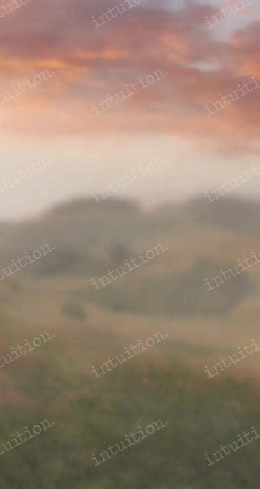 Painted Sky Backdrop