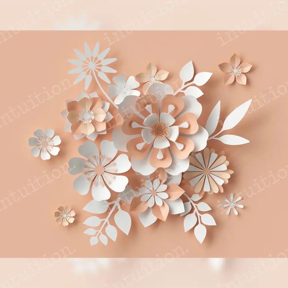 Peach Party Poly / 60X44 Backdrop