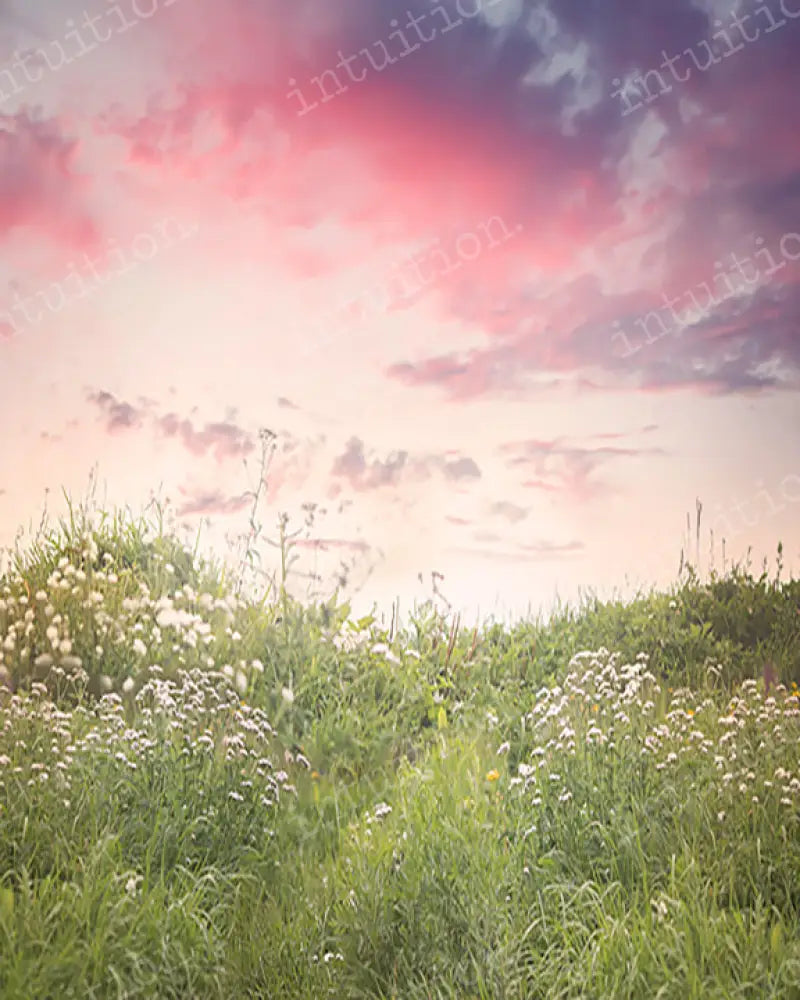 Pretty Pasture Backdrop