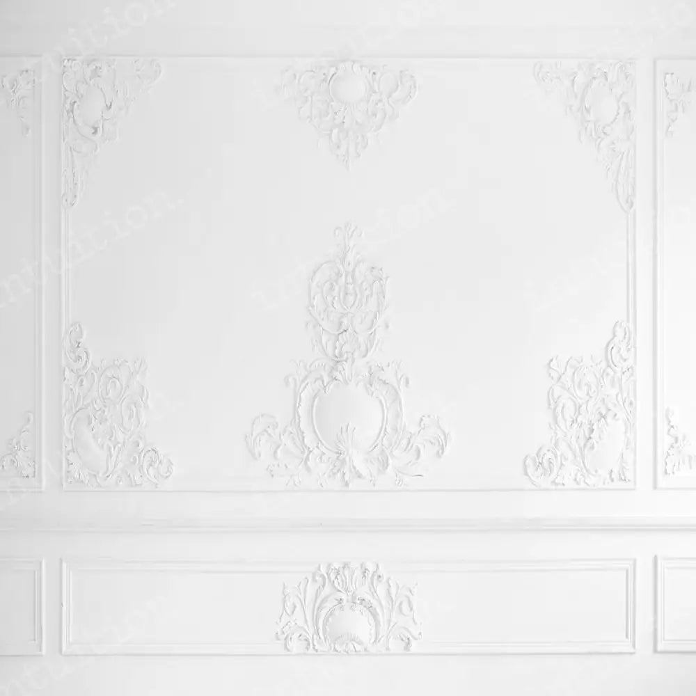 Priscilla Horizontal / Poly 60X44 Backdrop