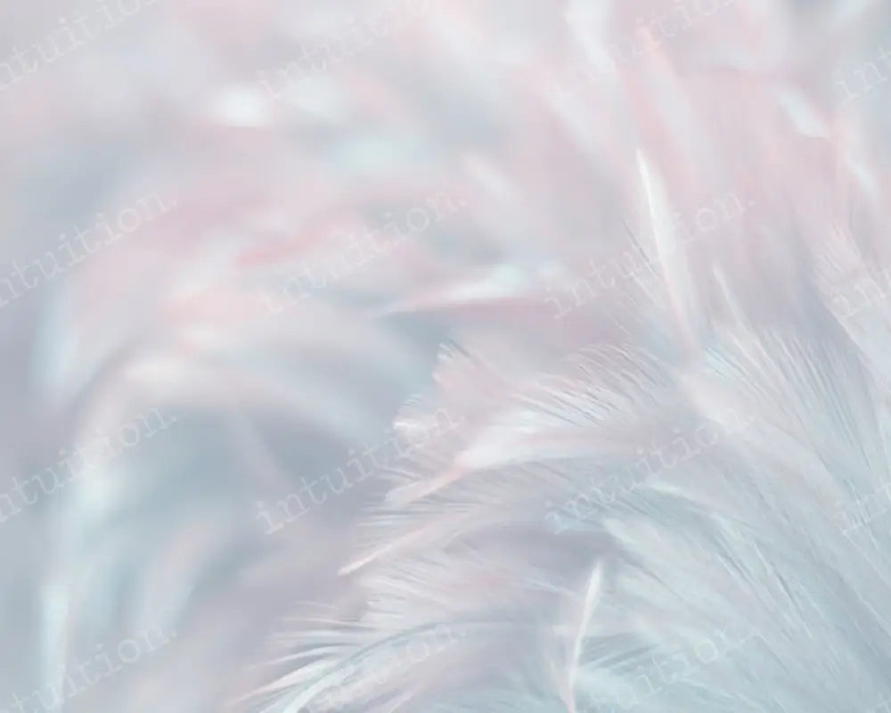 Spring Whisp Backdrop