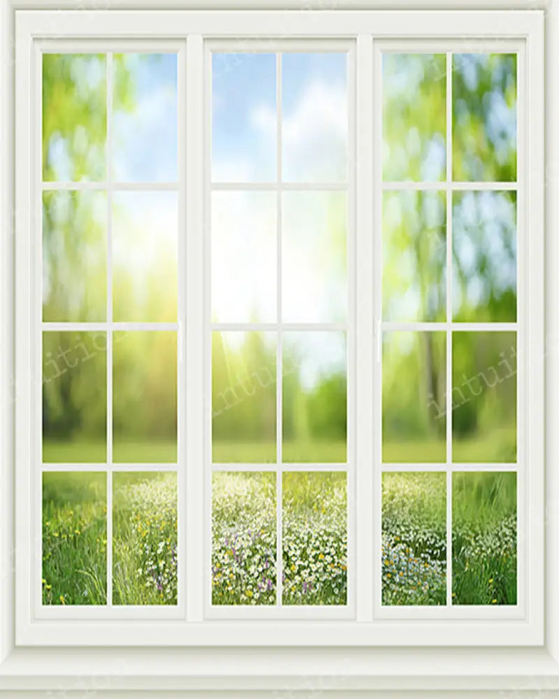 Spring Window Backdrop