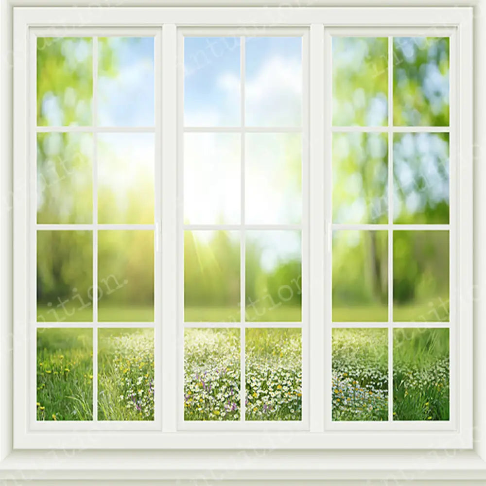 Spring Window Horizontal / Poly 60X44 Backdrop