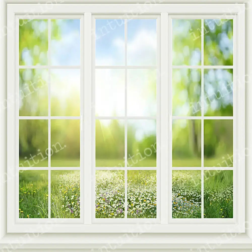 Spring Window Horizontal / Poly 60X44 Backdrop