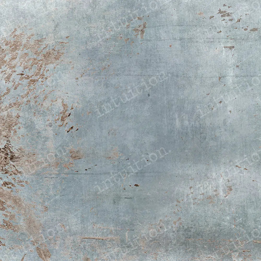 Toulouse Horizontal / Poly 60X44 Backdrop