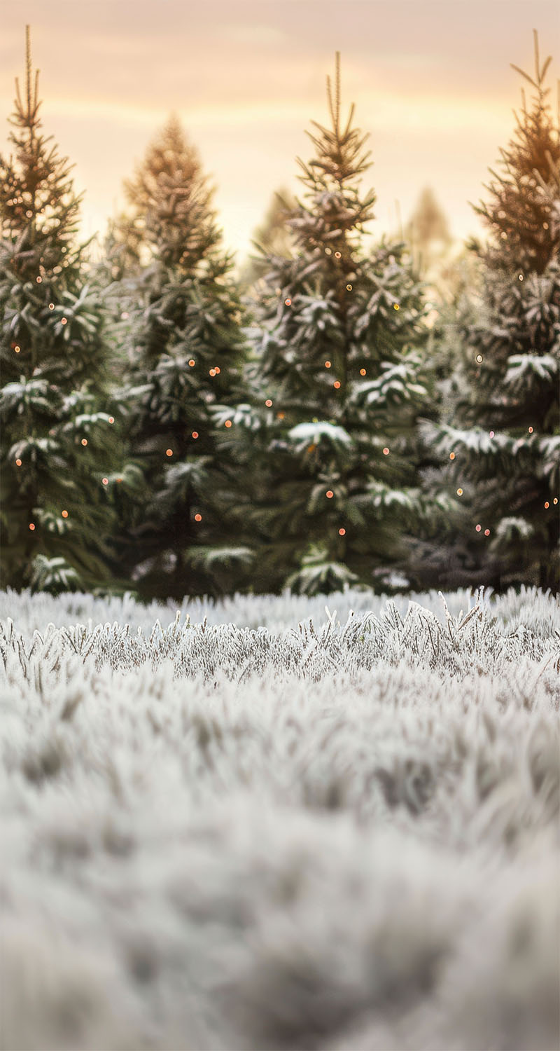Blurry Winter