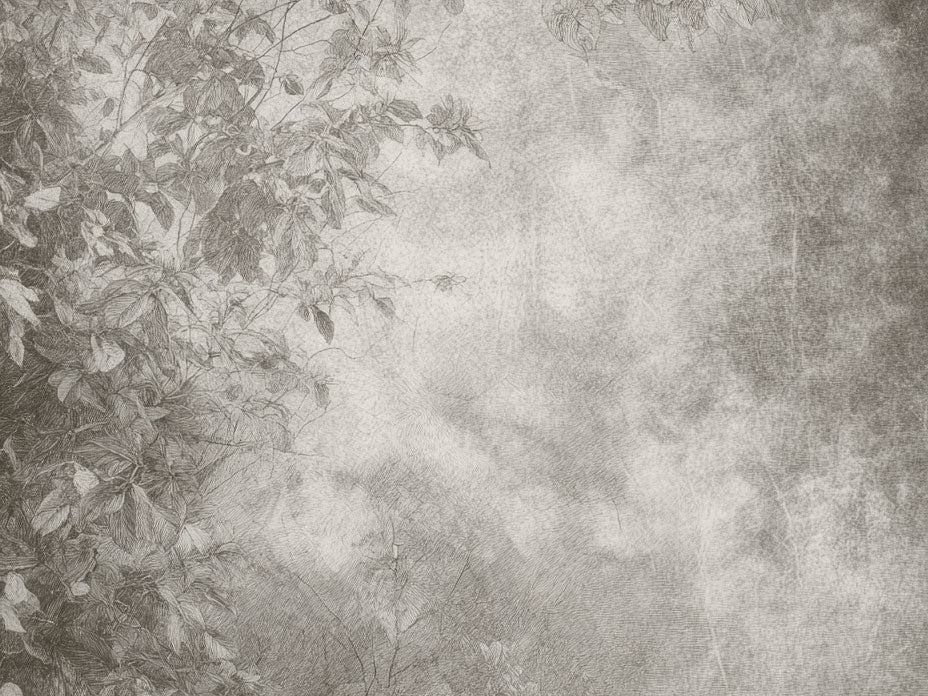 Silverleaf