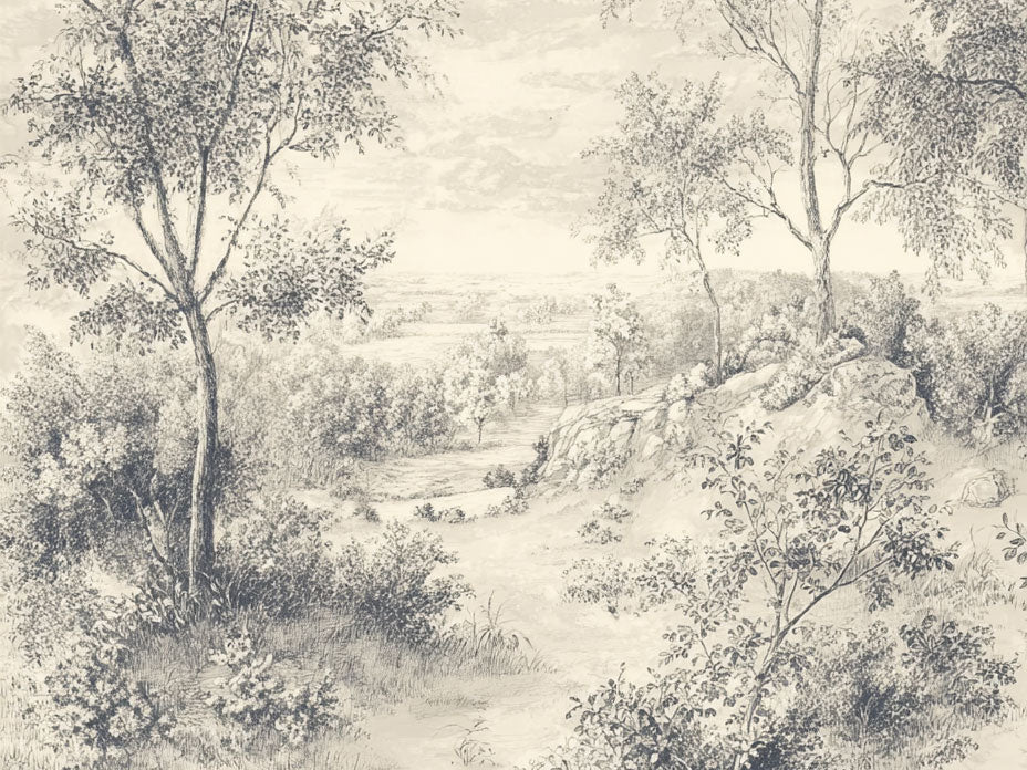 Winterfield