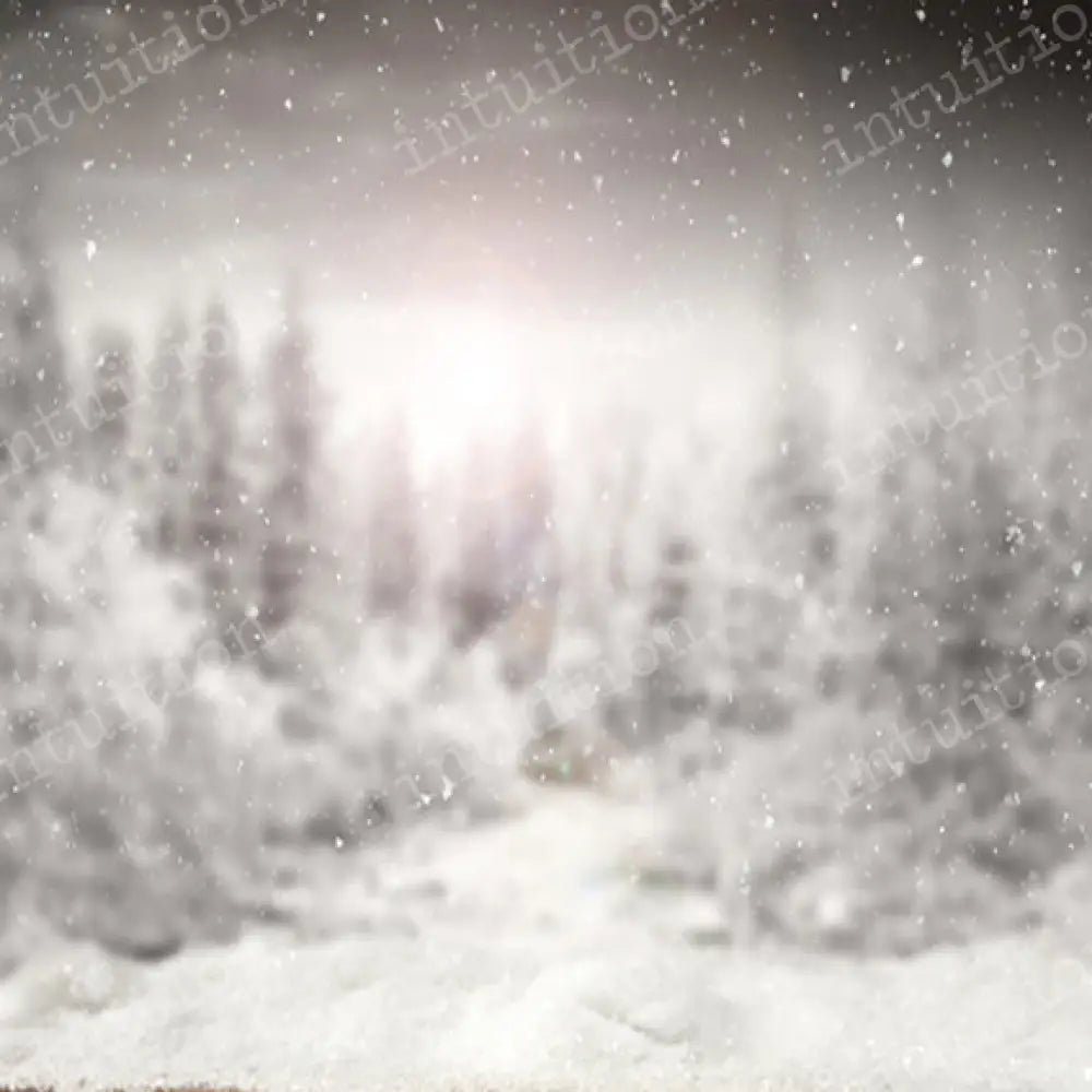 Alaska Poly / 60X44 Backdrop