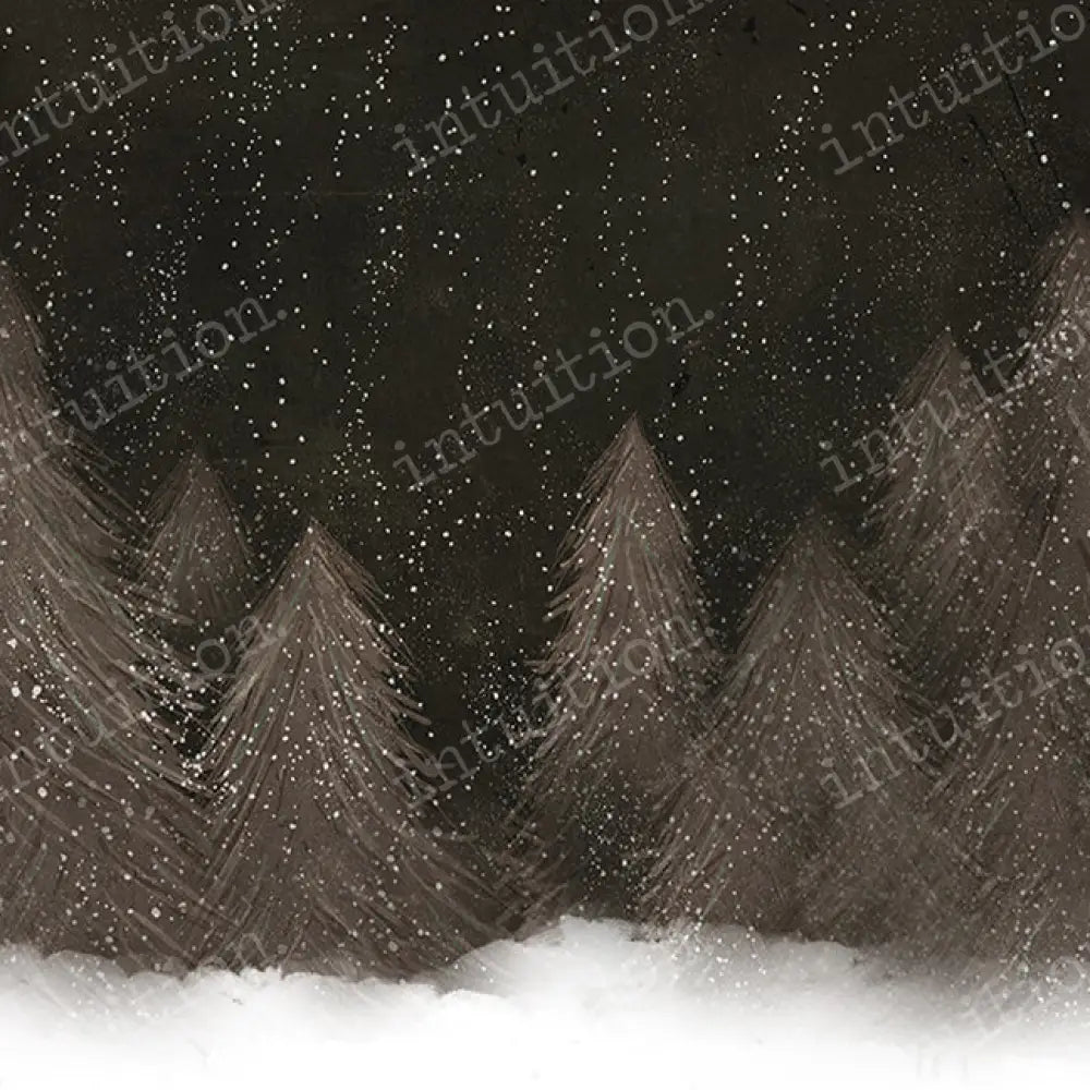 Lightly Lit Holiday - Photography Backdrop by Intuition Backgrounds