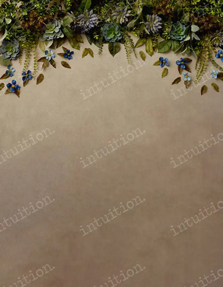Arwen Backdrop