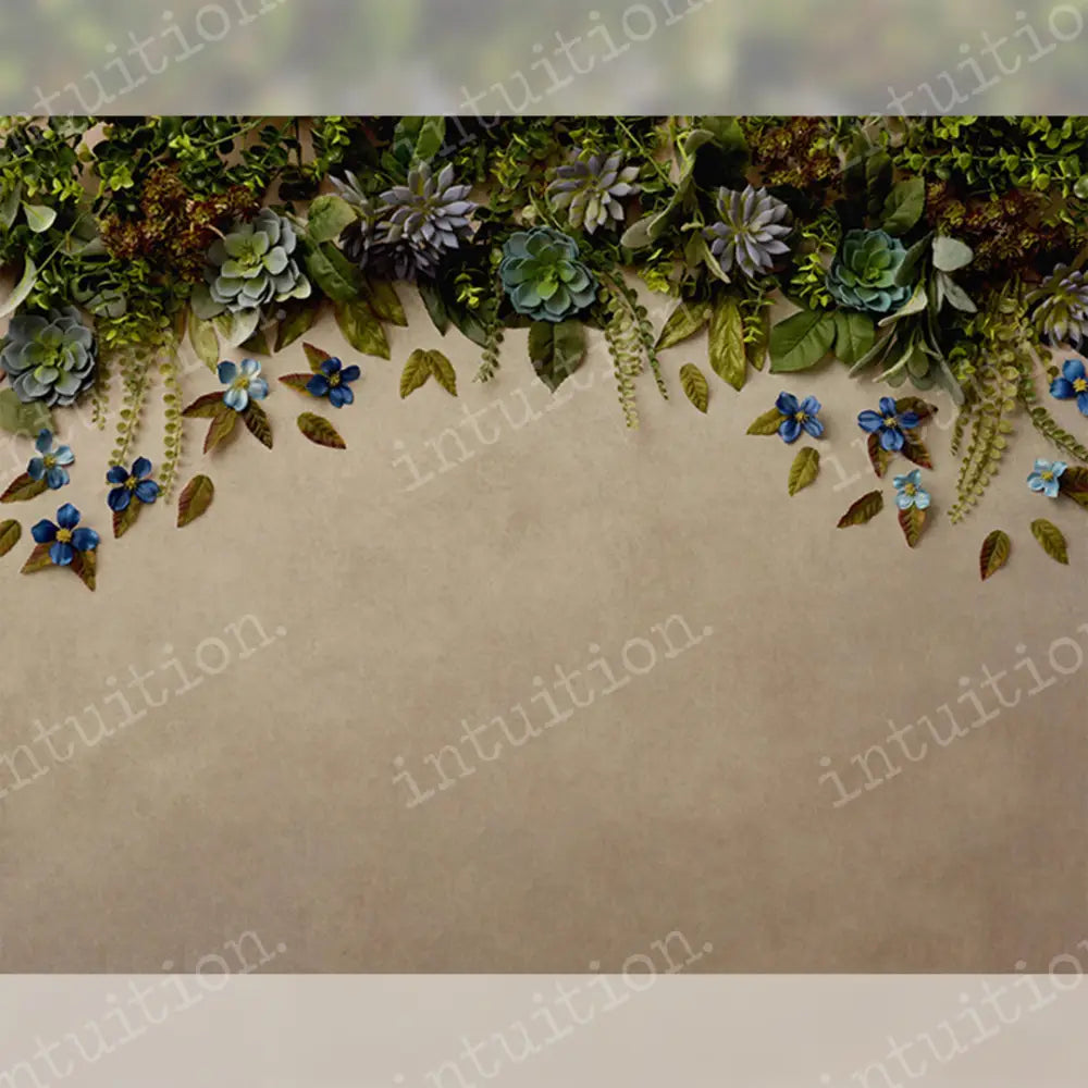 Arwen Horizontal / Poly 60X44 Backdrop