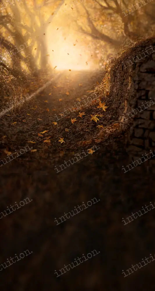 Autumn Hill Backdrop