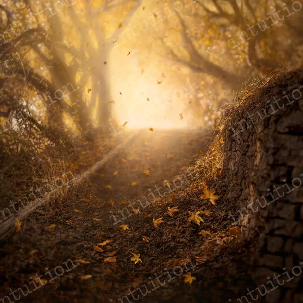 Autumn Hill Horizontal / Poly 60X44 Backdrop