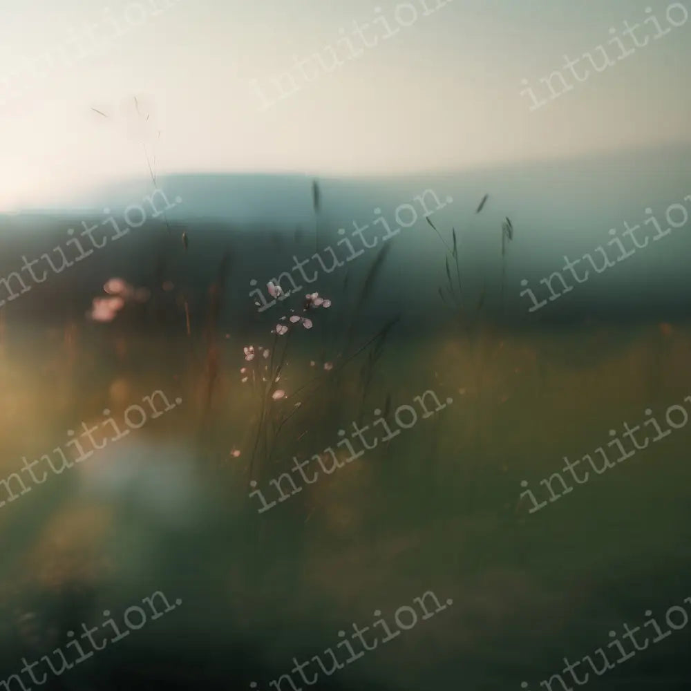 Bamburgh Side Wall Backdrop