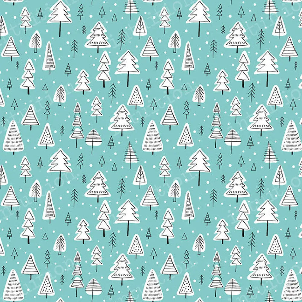 Blitz Poly / 60X44 Backdrop