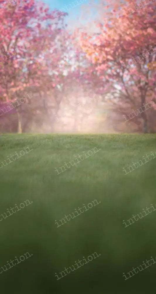 Blooming Trees Backdrop