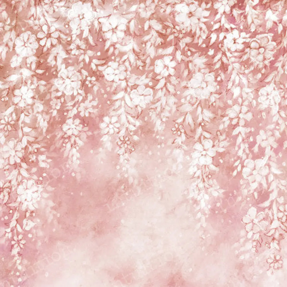 Blush Canvas / 60X44 Backdrop