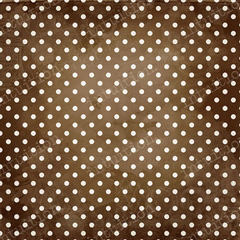 Bradford Poly / 60X44 Backdrop