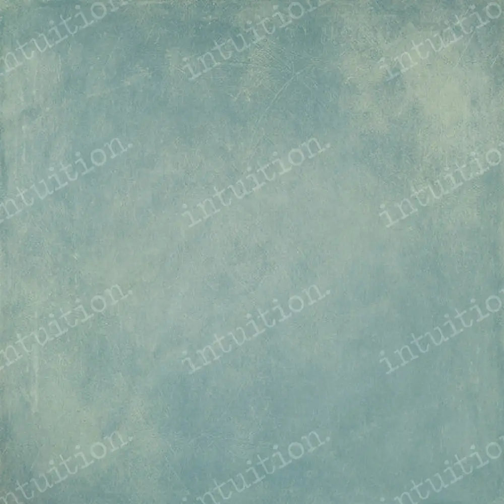 Busy Skies Horizontal / Canvas 60X44 Backdrop