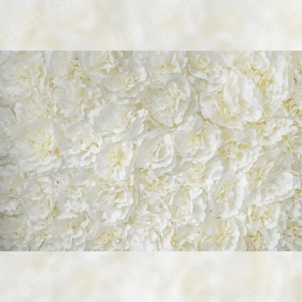 Buttercream Backdrop