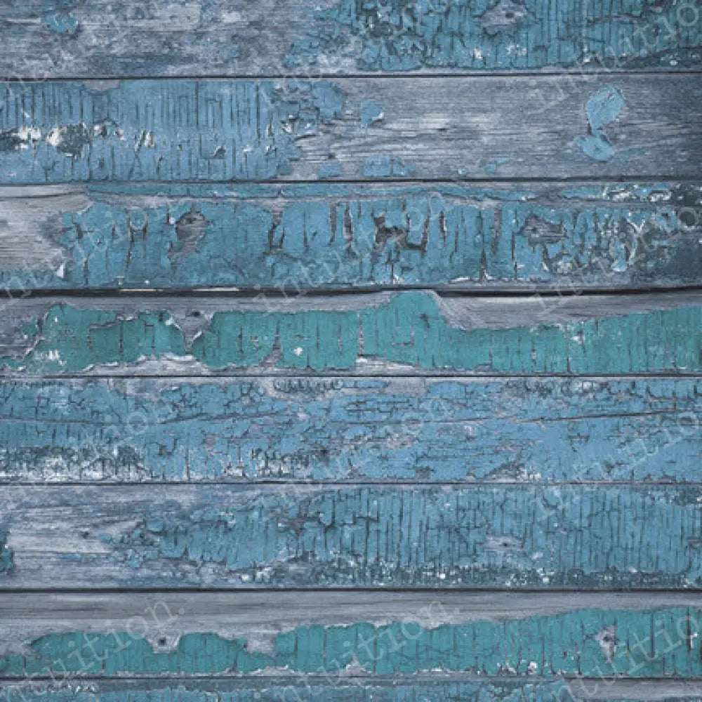 Cadet Canvas / 60X44 Backdrop