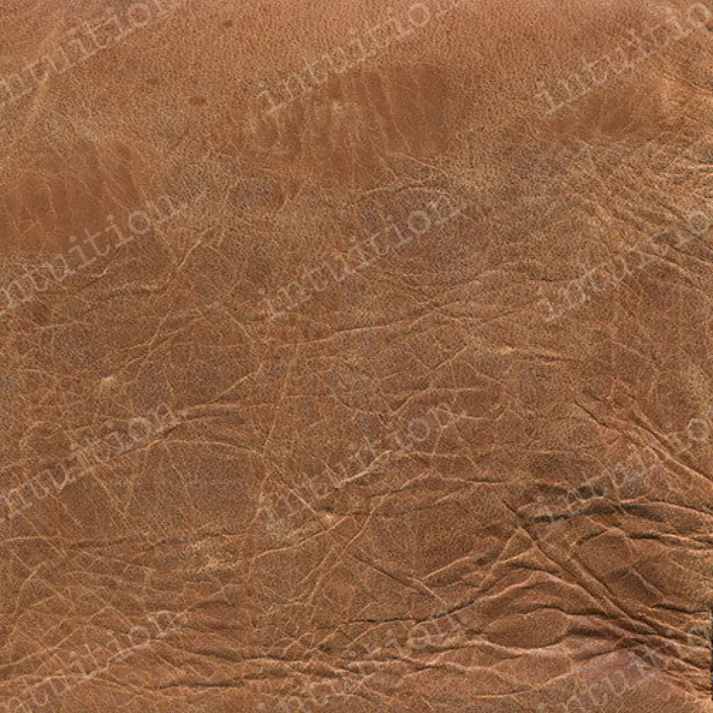 Canyon Canvas / 60X44 Backdrop