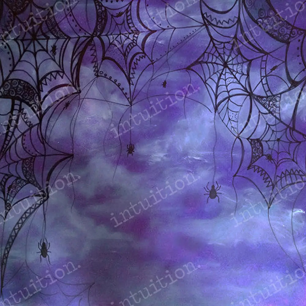 Caught In My Web Canvas / 60X44 Backdrop