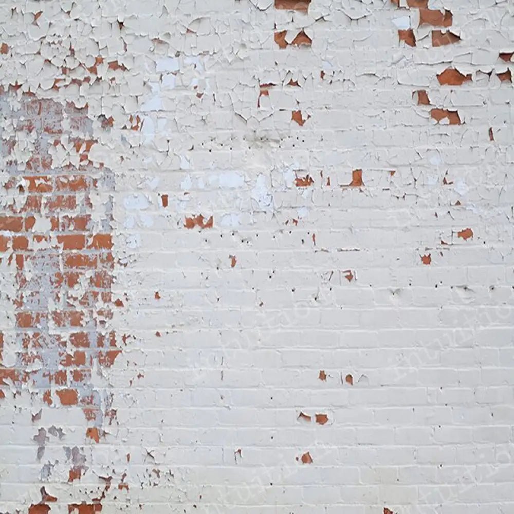 Charleston Poly / 60X44 Backdrop