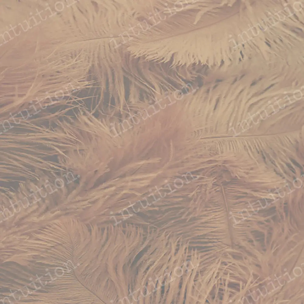 Classic Romance By Shannon K Dougherty Square / Poly 60X60 Backdrop