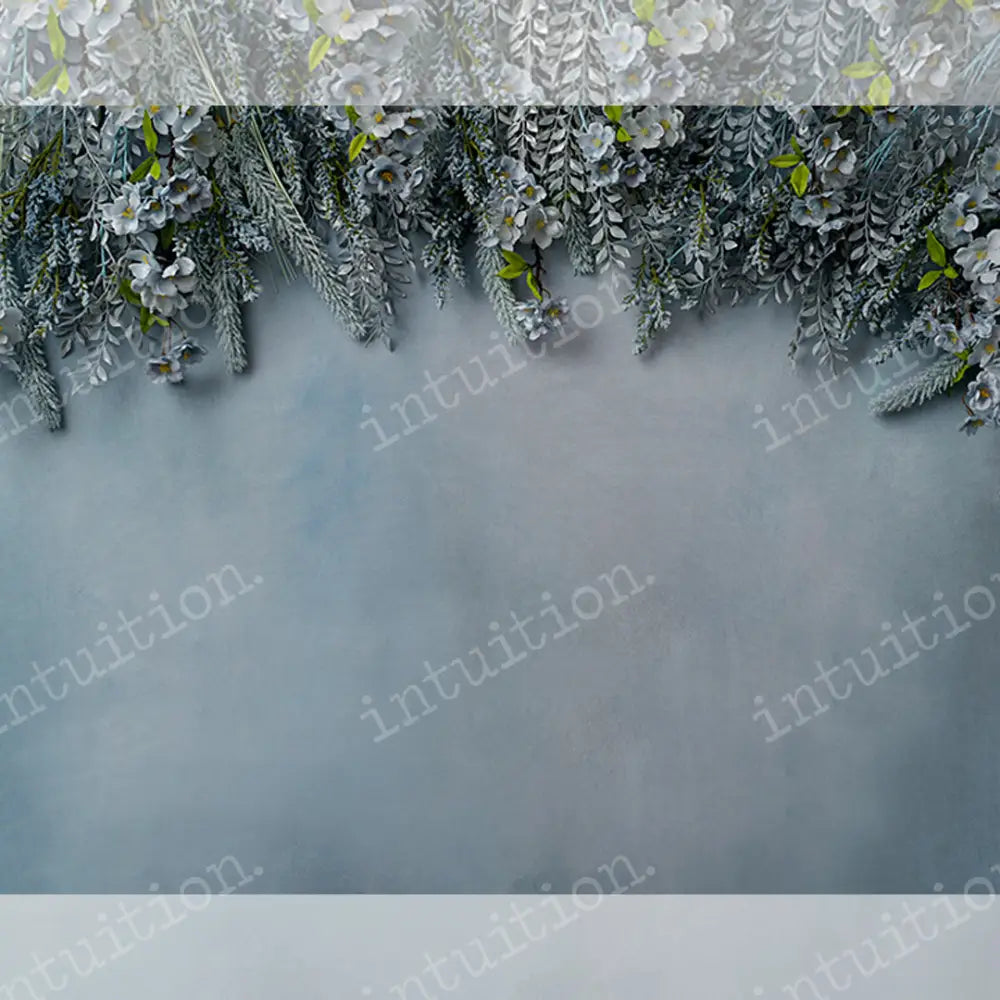 Cleo Horizontal / Poly 60X44 Backdrop