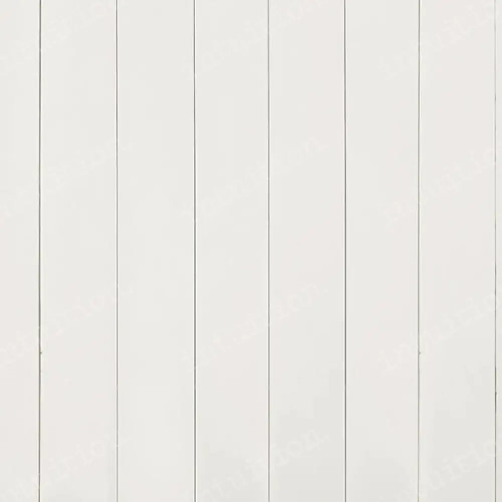 Cream Feathers Poly / 60X44 Backdrop